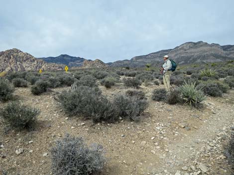 Grand Circle Trail