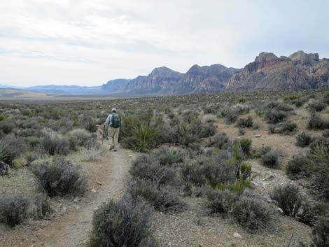 Grand Circle Trail