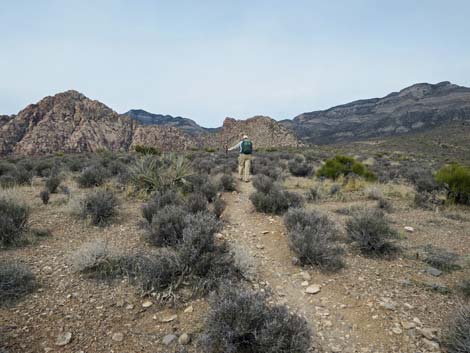 Grand Circle Trail