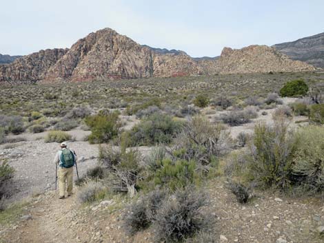 Grand Circle Trail