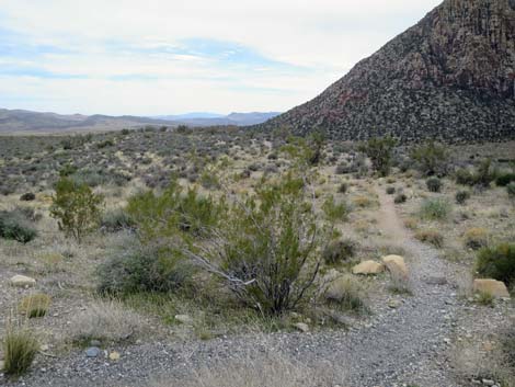 Grand Circle Trail