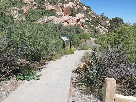 Handprints Trail