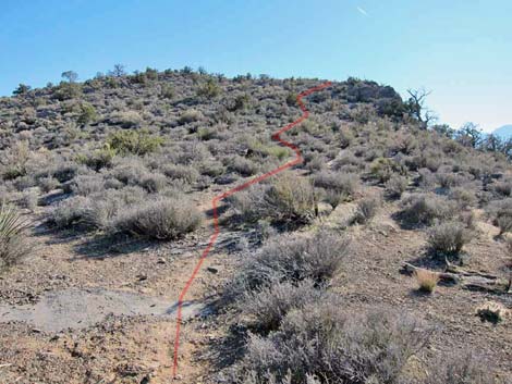 Hogback Ridge Route