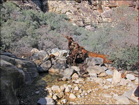 Icebox Canyon