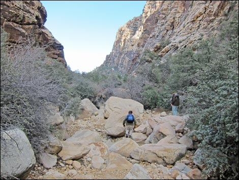 Icebox Canyon