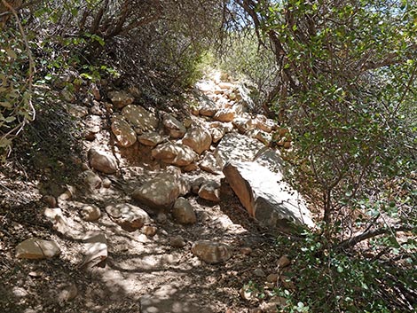 Ice Box Canyon Trail