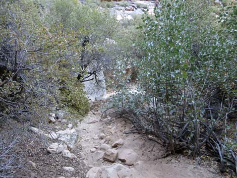 Ice Box Canyon