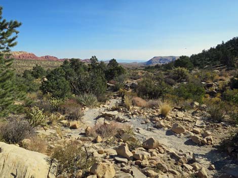 Ice Box Canyon