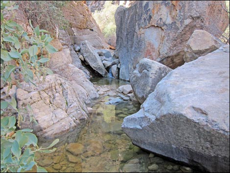 Icebox Canyon