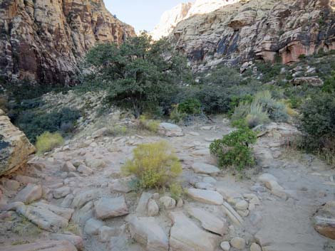 Ice Box Canyon