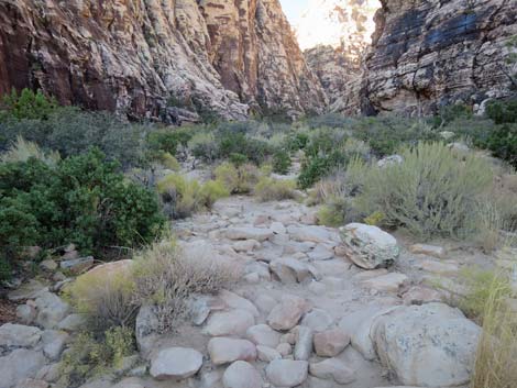 Ice Box Canyon