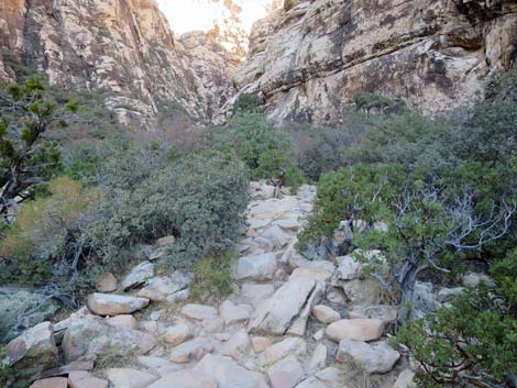 Ice Box Canyon