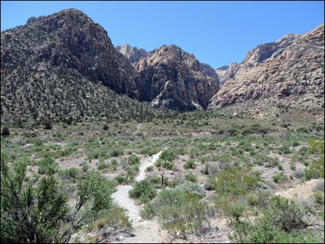 Icebox Canyon