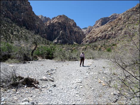 Icebox Canyon