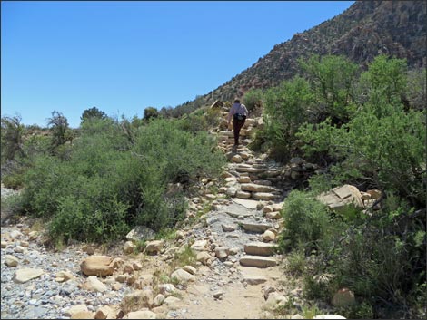 Icebox Canyon