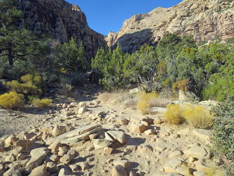 Ice Box Canyon