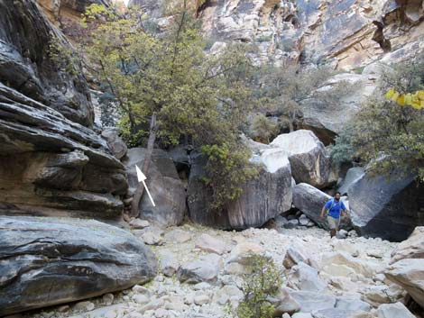 Ice Box Canyon