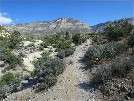 Keystone Thrust