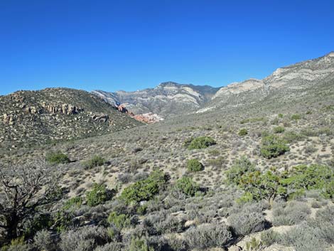 Keystone Basin Overlook