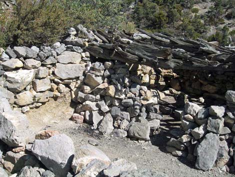 La Madre Miner's Cabin