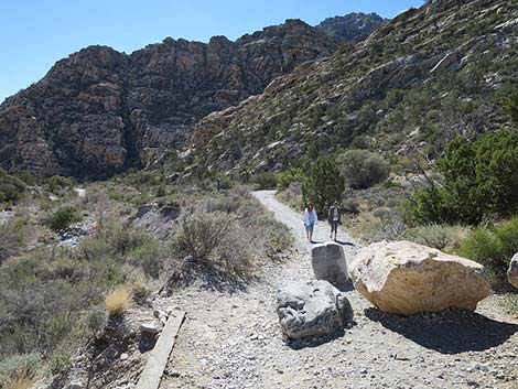 White Rock Loop Trail