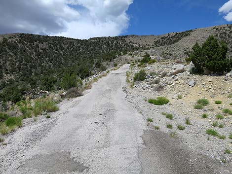 Carole Lombard Crash Site