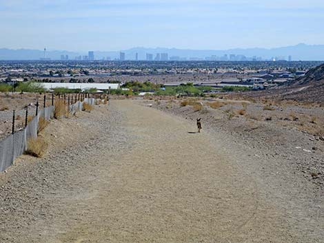 Lone Mountain