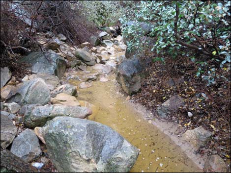 Lower Lost Creek Falls