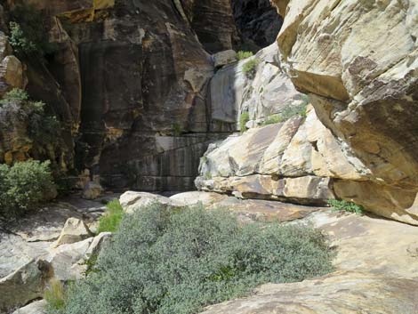 Upper Lost Creek Falls