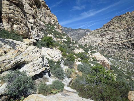 Upper Lost Creek Falls