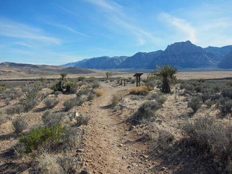 Moenkopi Trail