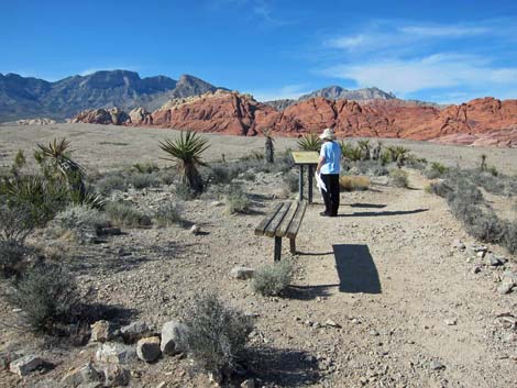 Red Rock Canyon National Conservation Area