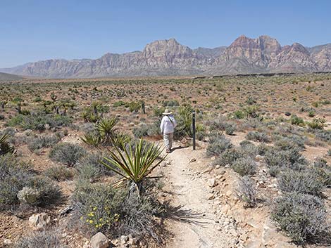 Moenkopi Trail