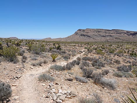 Moenkopi Trail