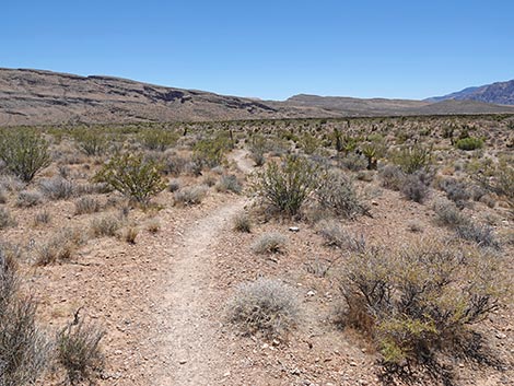 Moenkopi Trail