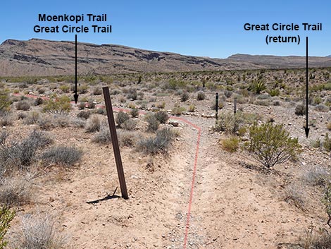 Moenkopi Trail