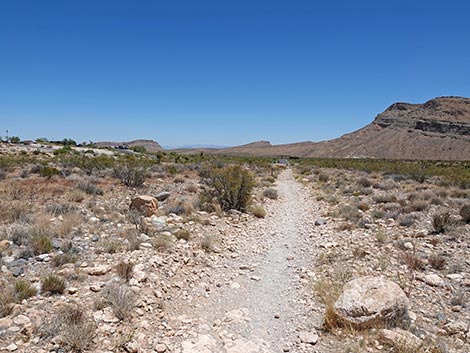 Ride Share Deluxe Loop Trail
