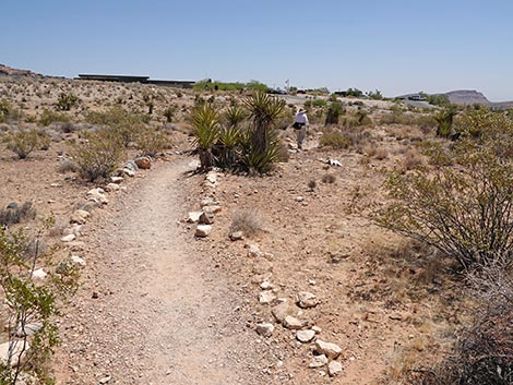 Moenkopi Trail
