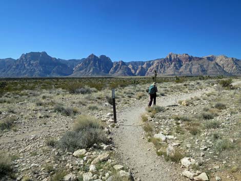 Moenkopi Trail