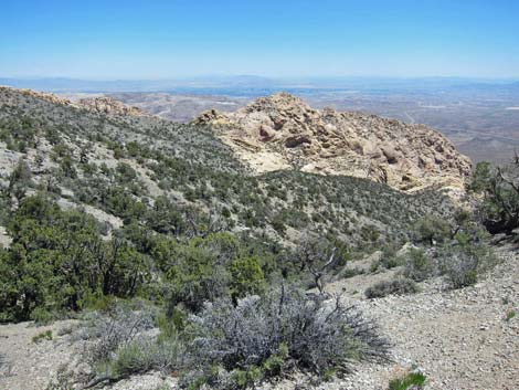 Mountain Spring Peak Route