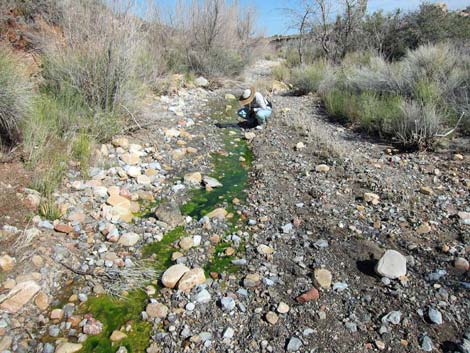 Mud Spring No. 2 Route