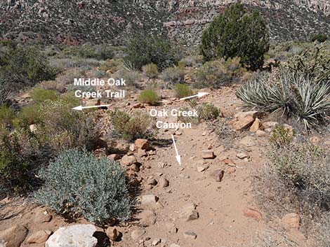 Oak Creek Canyon Trail 