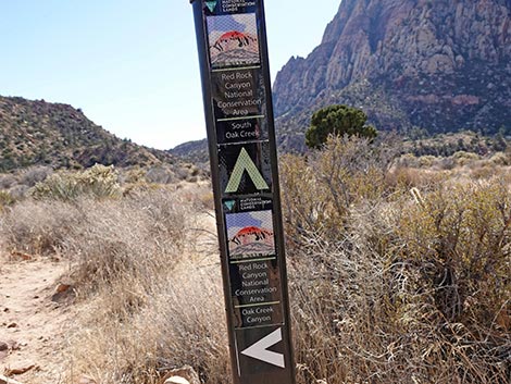 Oak Creek Canyon Trail