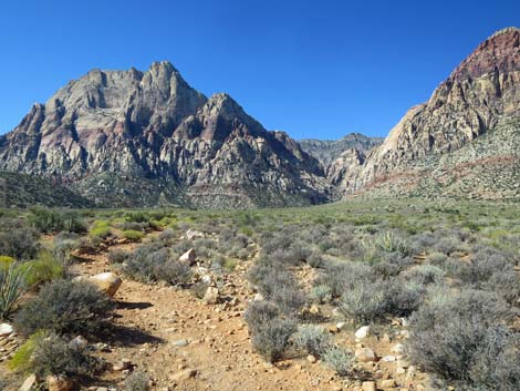 oak creek canyon