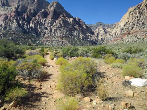 oak creek canyon