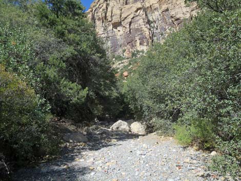 oak creek canyon