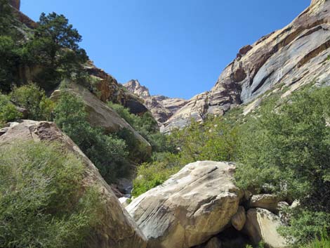 Oak Creek Canyon