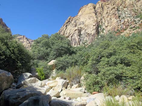 oak creek canyon