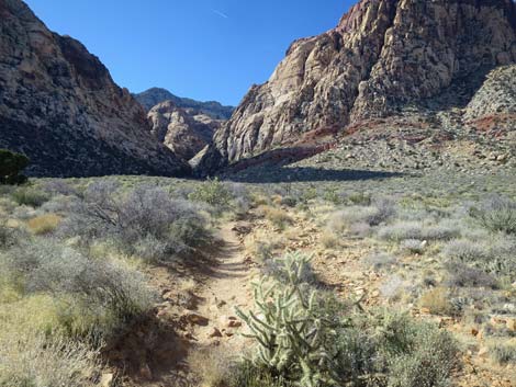 Oak Creek Canyon Trail