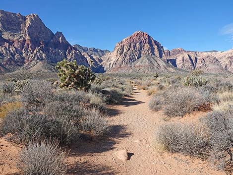 Oak Creek Cutoff Trail